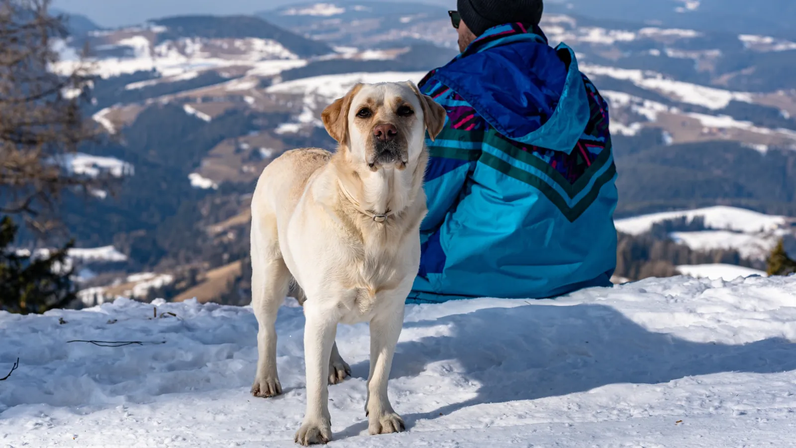 Luna in the mountains